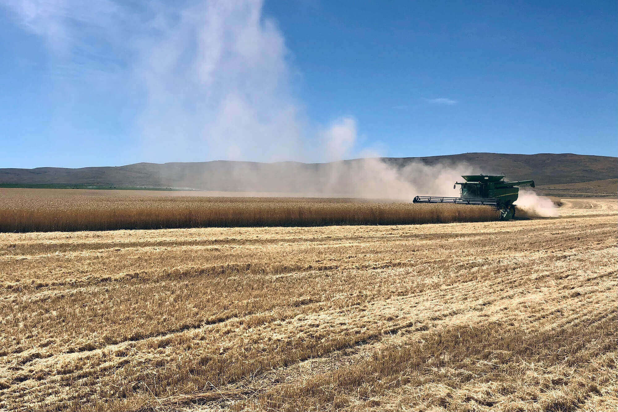 Ray Brothers Equipment Ironside, OR Quality Ag, Construction